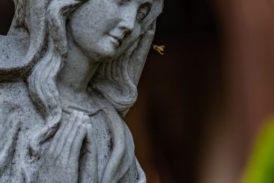 Jürgen Fesser: Bitte tue mir nichts